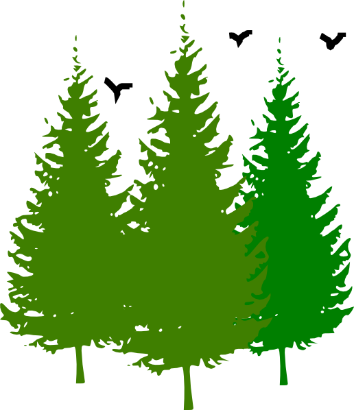 Small - Pine Trees Clip Art (516x598), Png Download