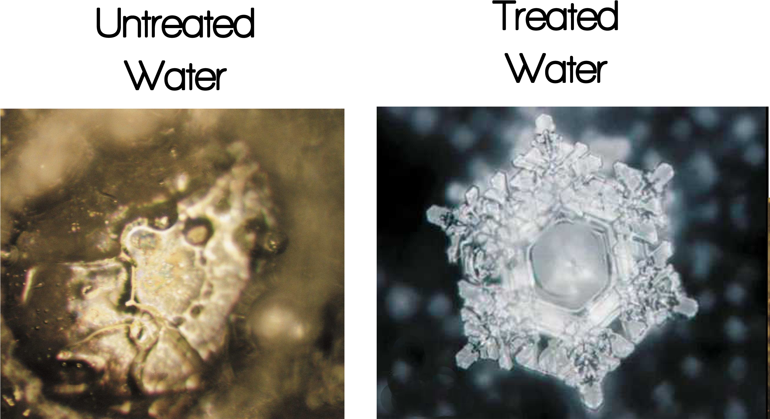 Emoto's Photographs Documented These Effects On The - Masaru Emoto (3060x1496), Png Download