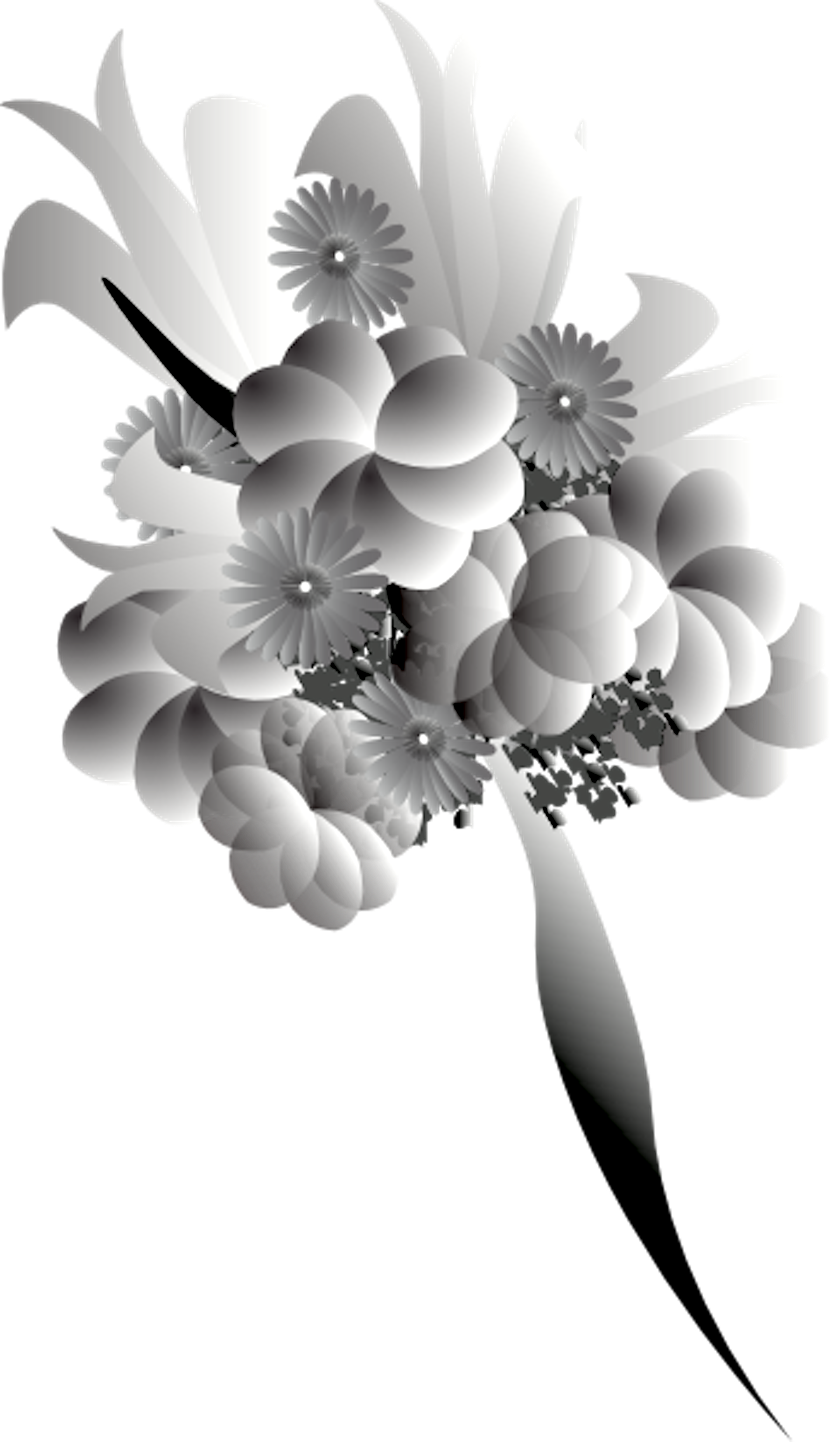 Clipart Resolution 1800*3088 (1800x3088), Png Download