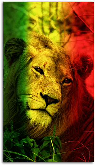 Download Lion Heart Mobile Wallpaper - Lion Mobile Wallpaper Hd PNG Image with No Background Download Lion Heart Mobile Wallpaper - Lion Mobile Wallpaper Hd PNG Image with No Background