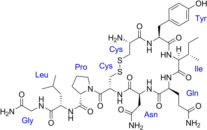 Oxytocin Chemical Structure (800x500), Png Download