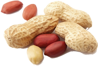 Peanuts/ Groundnut Kernels - Bounce Ball Peanut Protein Blast 49g (500x500), Png Download