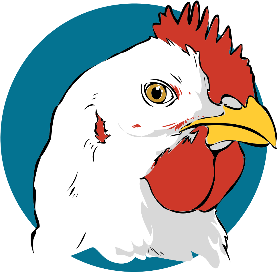 Chicken Closeup - Cabeza De Gallina Dibujo (600x600), Png Download