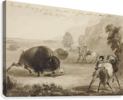 Hunters Escaping From A Wounded Buffalo, While He Tears - Artist (429x348), Png Download