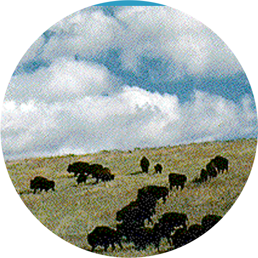 Natural Resources Of The Plains People (524x524), Png Download