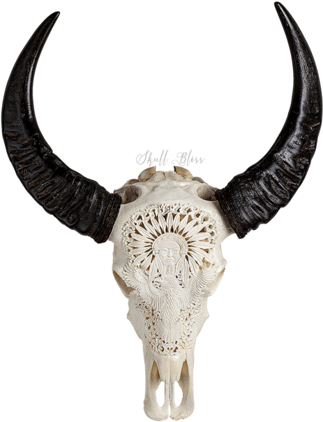 Carved Buffalo Skull - Carabao Horn Png (645x645), Png Download