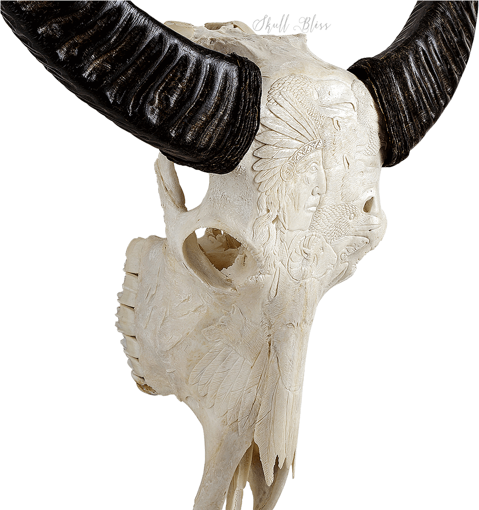 Skull (1000x1000), Png Download