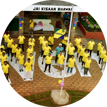 Where We Come From - Birthday Cake (348x348), Png Download