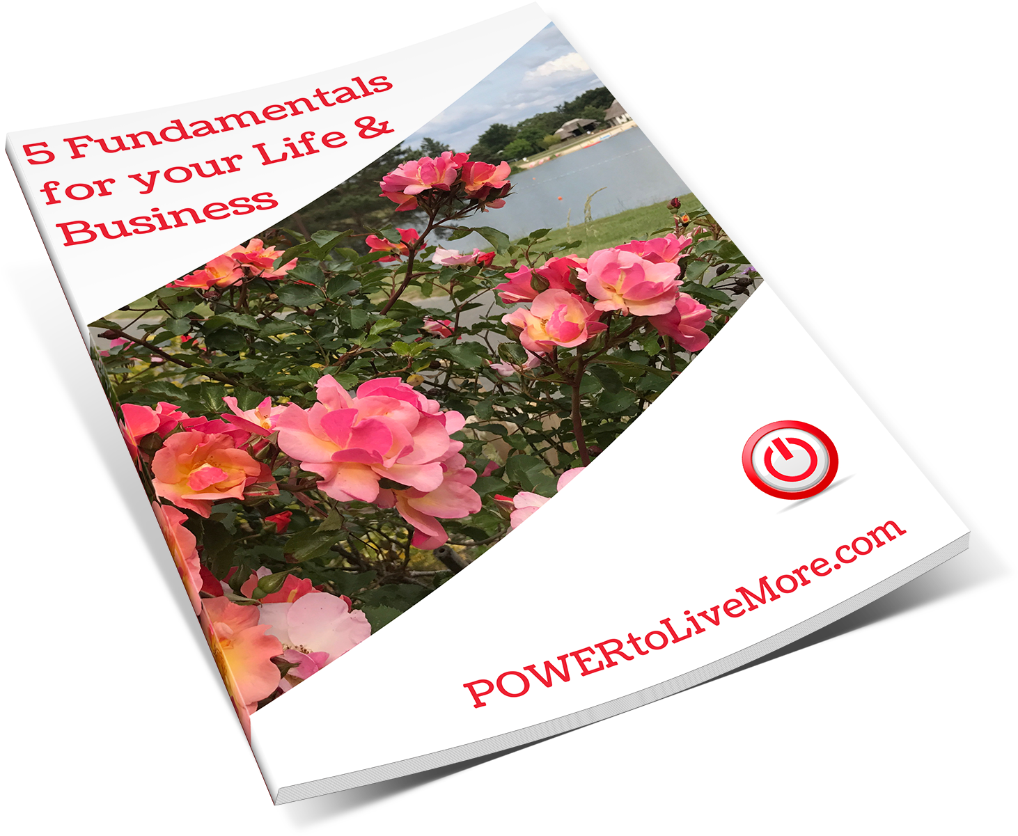 Subscribe To Get My Weekly Tips & Use This Checklist - Blog (1500x1231), Png Download