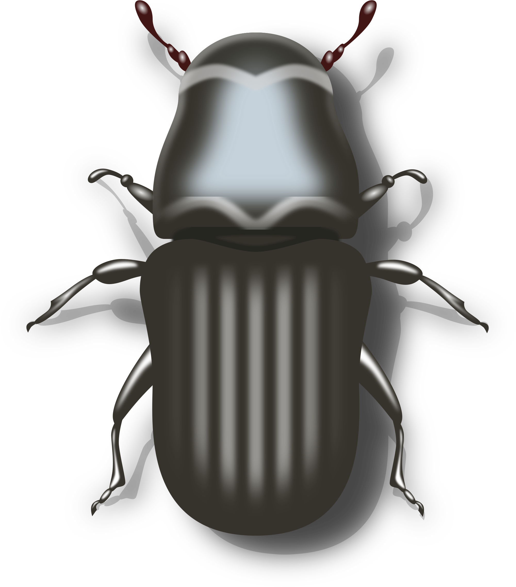 Biker Vector Motorcycle Clipart - Beetle Clipart Png (2400x2400), Png Download