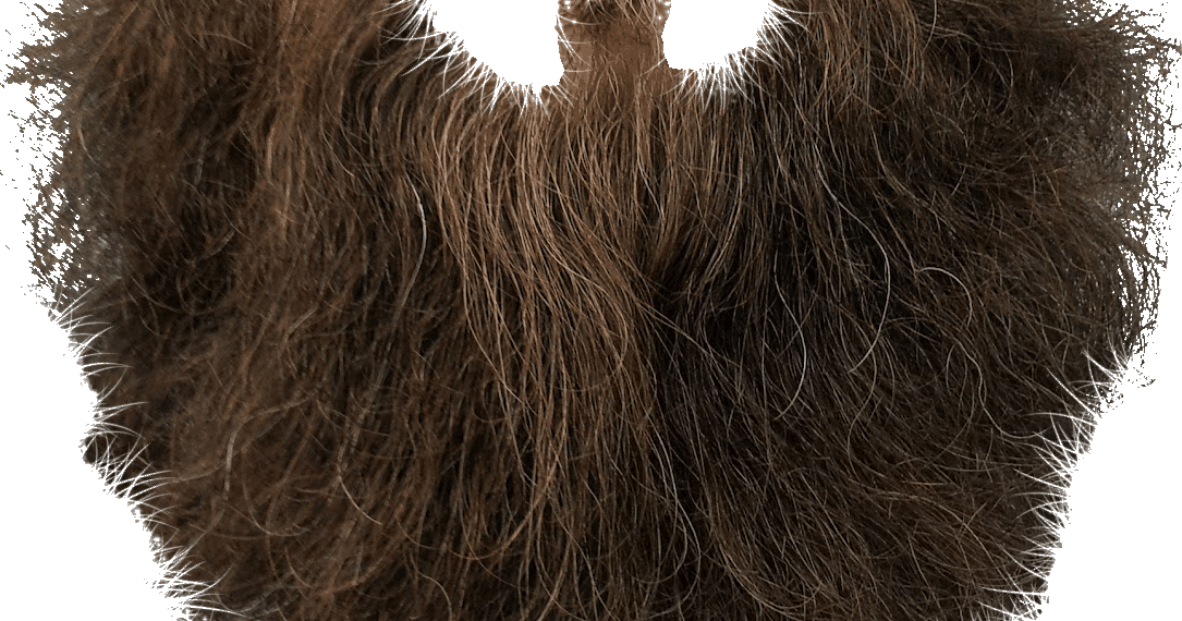 Hair And Beard Png (1085x570), Png Download