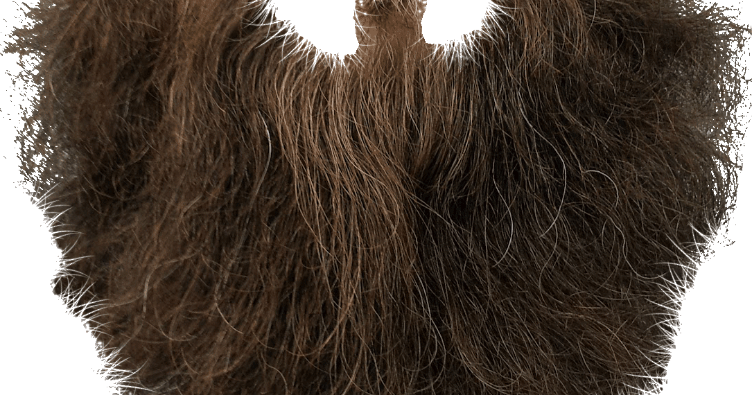 Download Hair And Beard Png Png Image With No Background