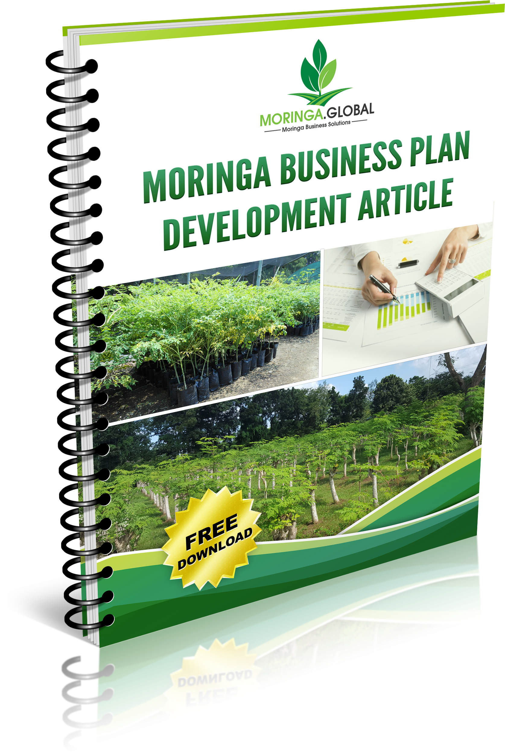 Download Here - Notebook (2076x2784), Png Download