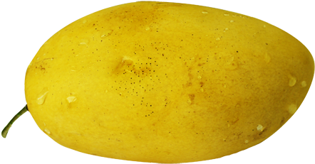 Mango - Papaya (500x267), Png Download