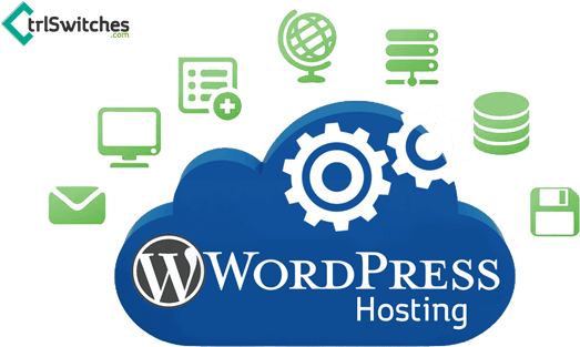 Wordpress Hosting - Managed Wordpress Hosting Png (560x360), Png Download