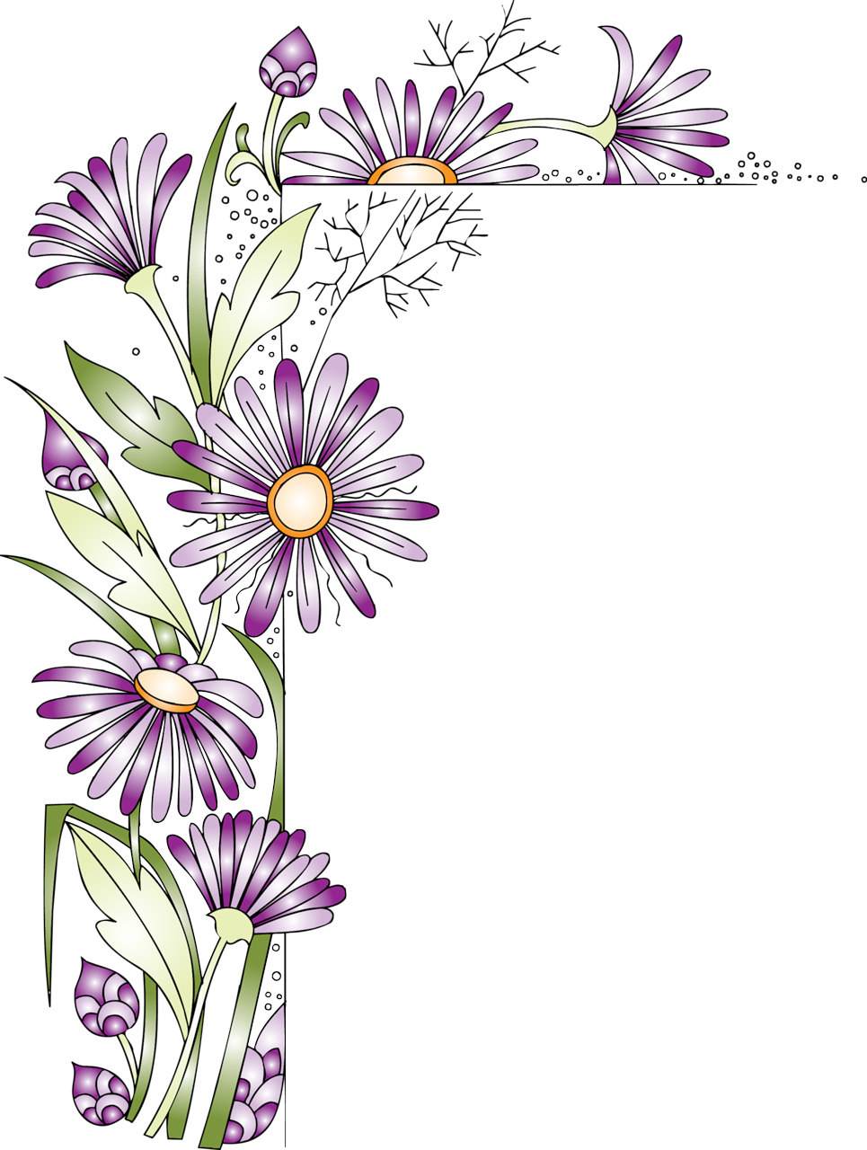 Purple Flower Border - African Daisy (965x1280), Png Download