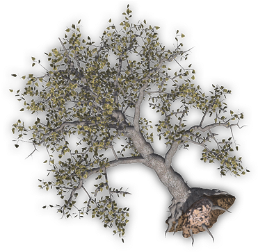 24 Mar 2009 - Uprooted Tree Clipart (380x362), Png Download