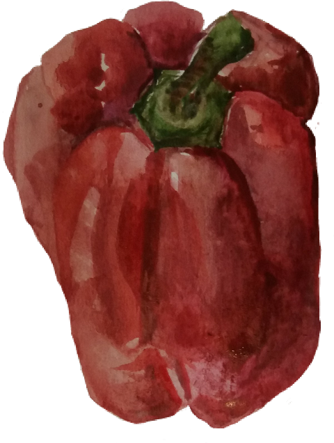 Watercolor Paint (480x636), Png Download