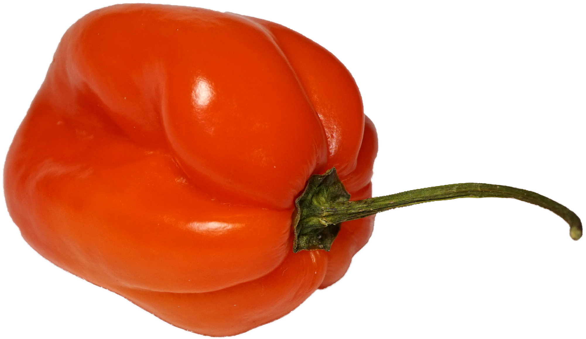 File - Habanero - Habanero Pepper Transparent Background (2015x1193), Png Download