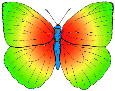 Butterfly Rainbow Colored - Butterfly Colors (424x322), Png Download