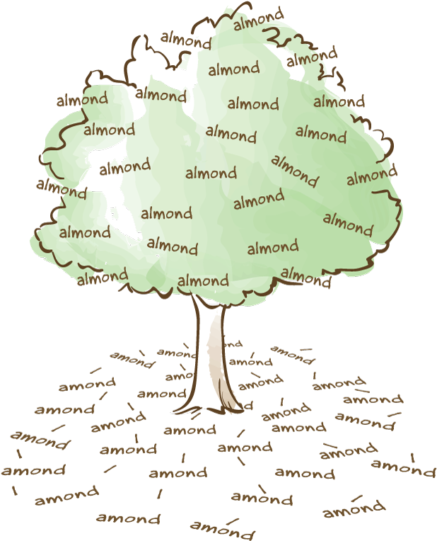 Almonds In The Tree, Amonds On The Ground - Almond Vs Amond (672x800), Png Download