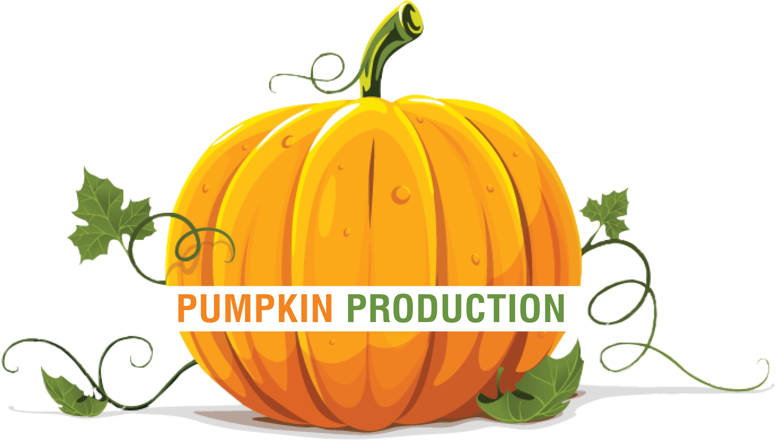 Pumpkin Production Png Freeuse Download - Transparent Background Pumpkin Clipart (2676x1576), Png Download