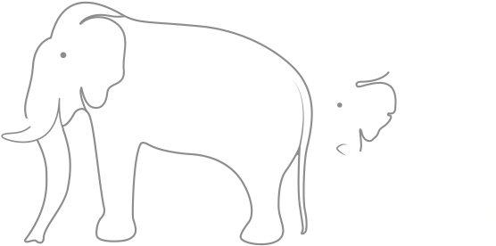 Indian Elephant (579x302), Png Download