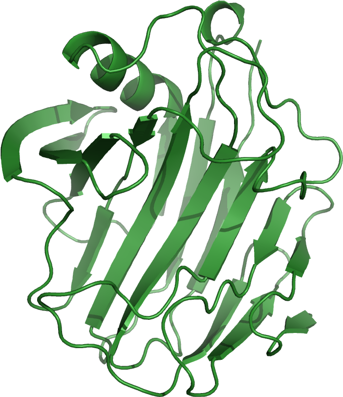 File - 1nlrribbon - Cellulase: Production, Applications And Health Benefits (752x845), Png Download