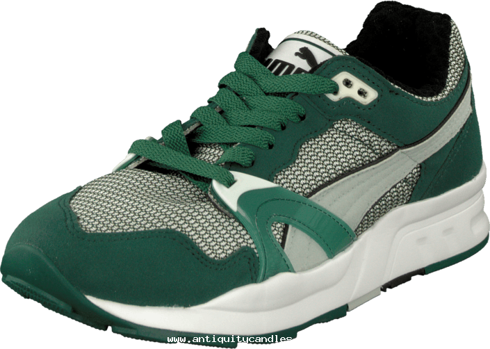 Puma Puma Trinomic Xt1 Plus Wht/green 46621-02 Womens - Shoe (705x502), Png Download