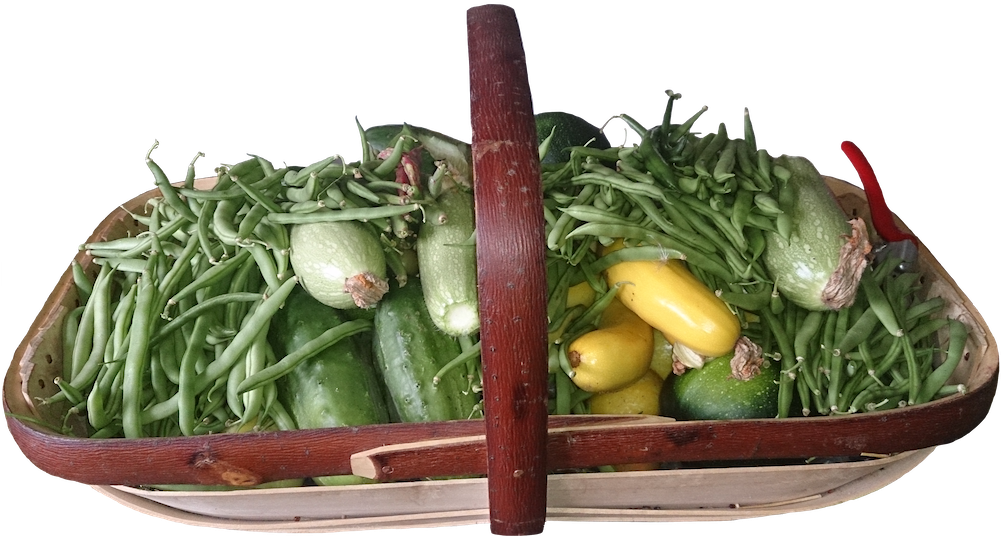 Salad Ways Basket - Green Bean (1000x562), Png Download