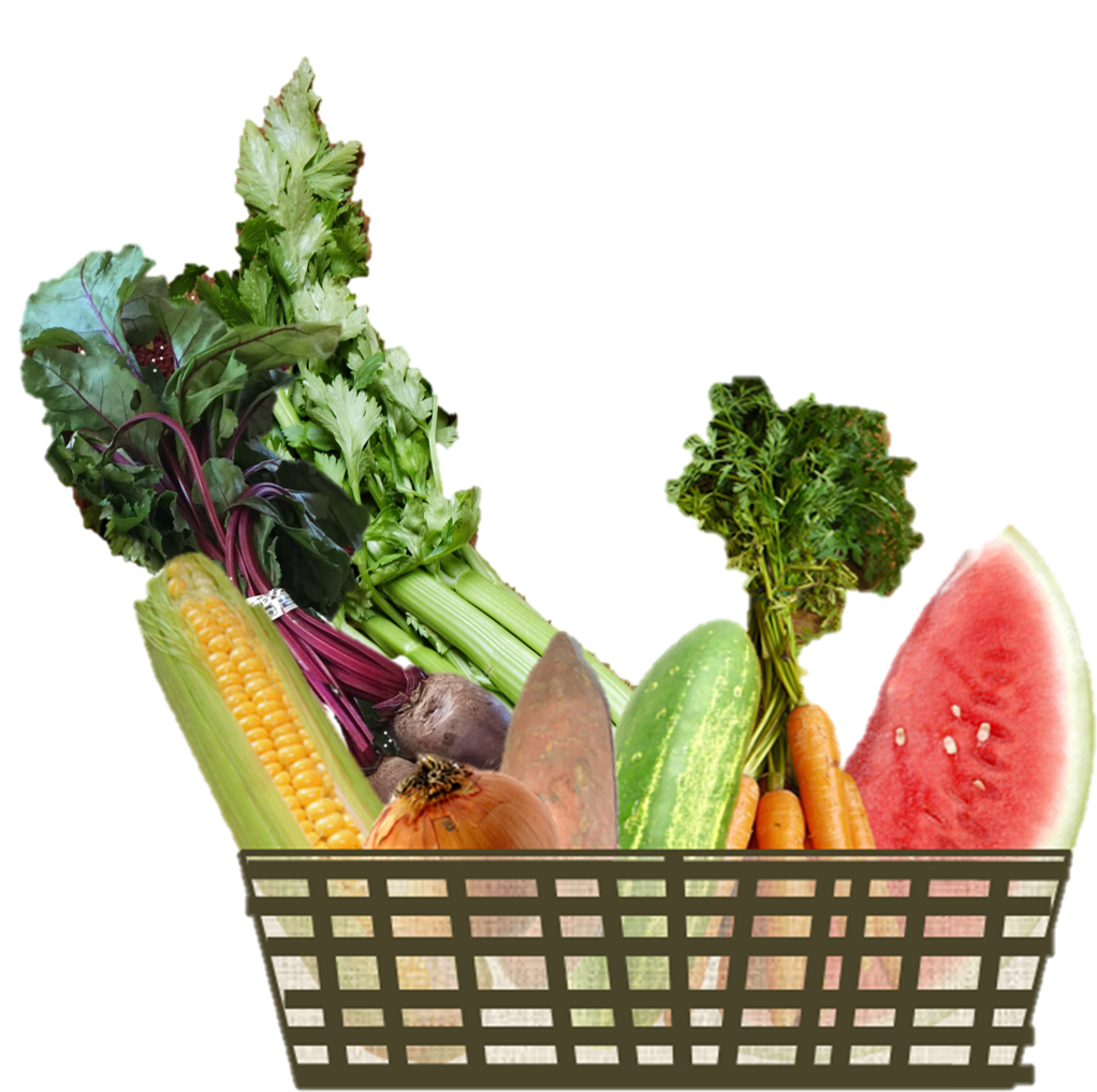 All Our Eggs Are In Too Few Baskets (1075x1059), Png Download