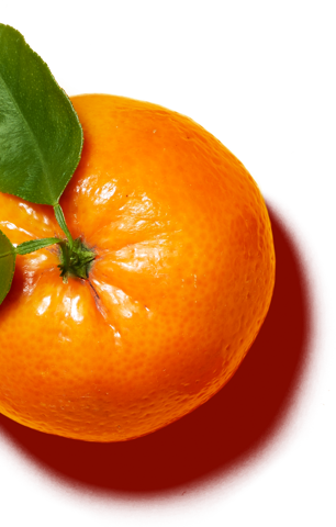 This Toner Features Olehenriksen's Green Fusion Complex™, - Rangpur (306x480), Png Download