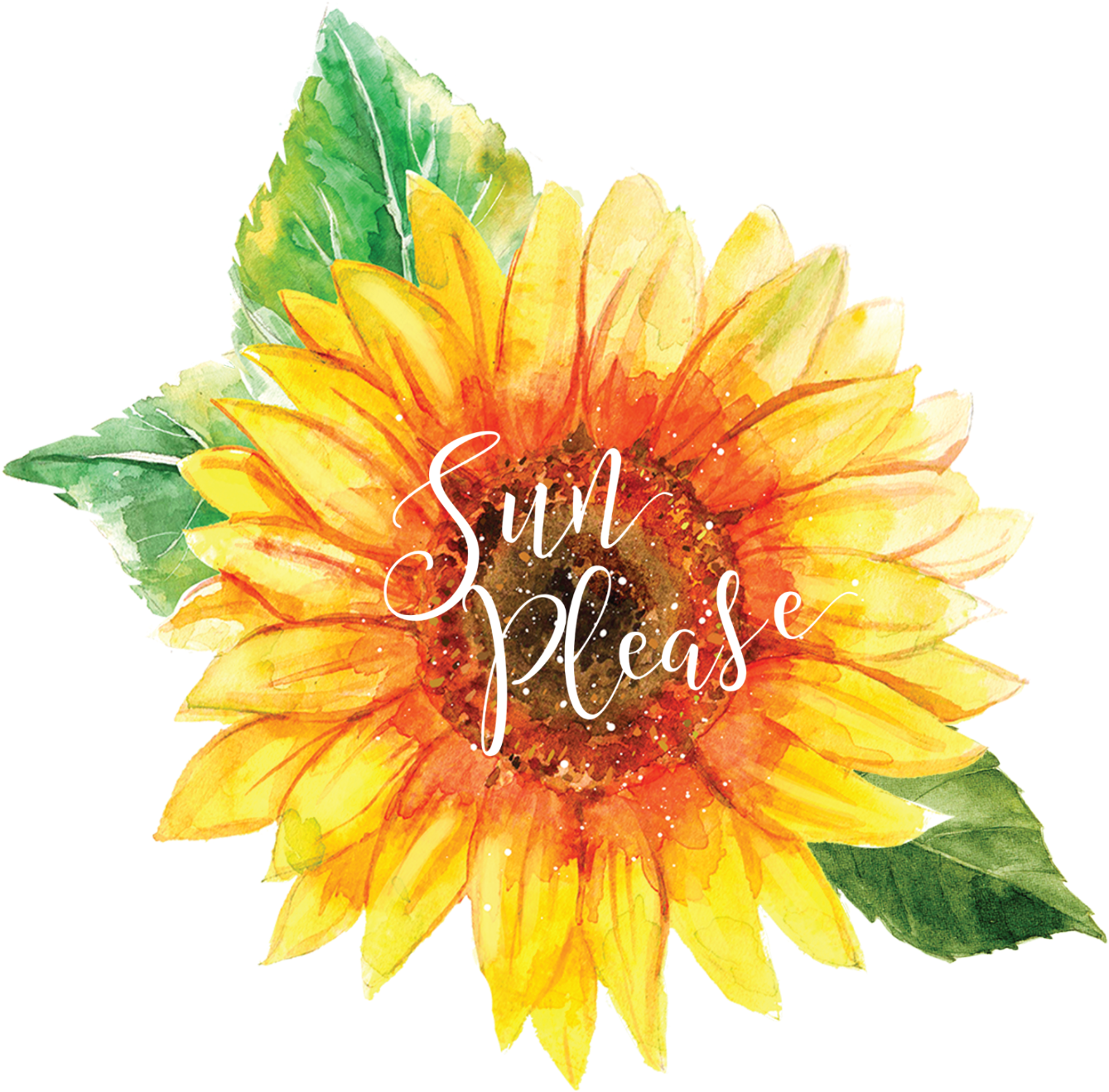 Sun Please - Sunflower (2000x1516), Png Download