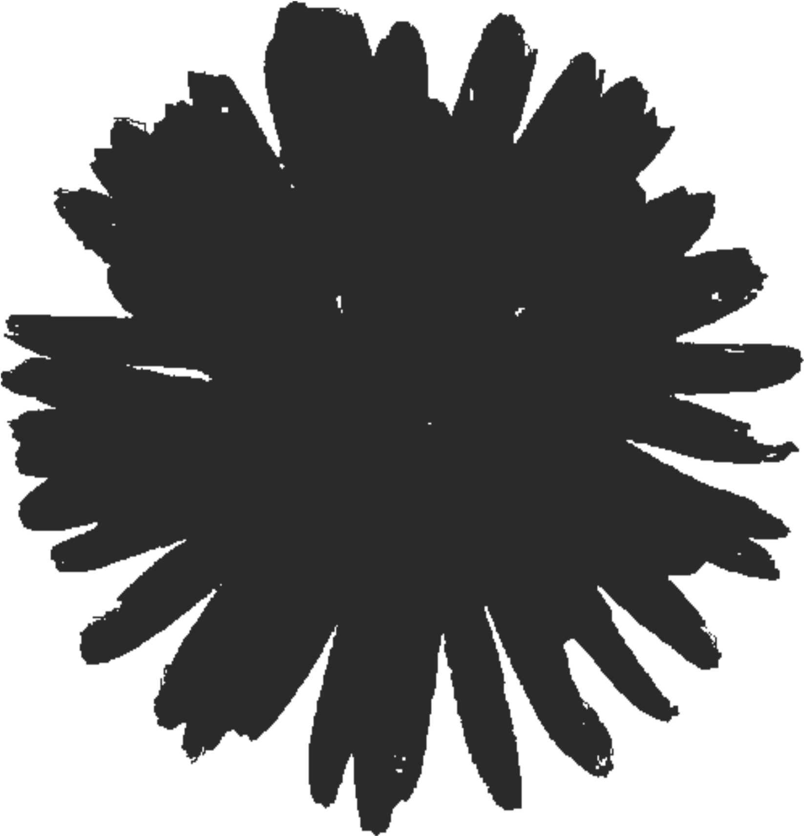 This Free Icons Png Design Of Ireland Marigold Silhoutte (1697x2400), Png Download