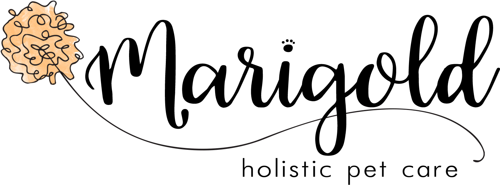 Cropped Marigold Holistic Pet Care For Transparent - Calligraphy (1644x648), Png Download