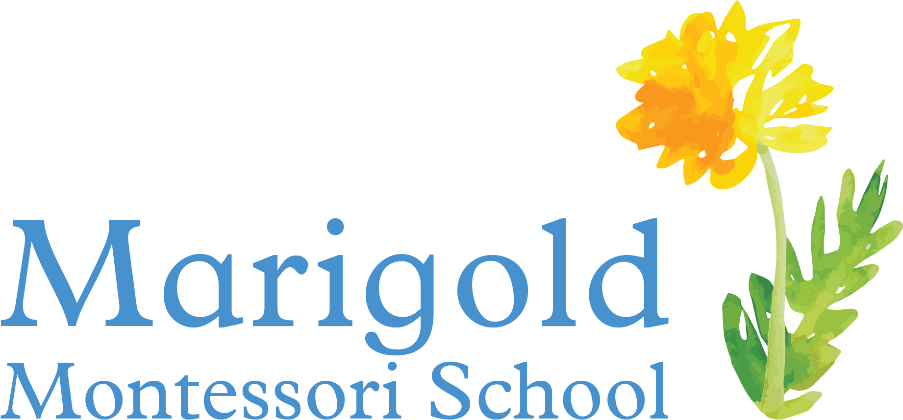 Marigold Montessori School A High Quality Early Childhood - Crocus (2158x1154), Png Download