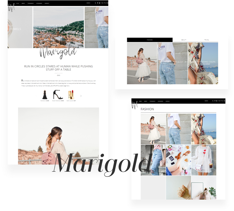 Marigold-wordpress - Collage (869x772), Png Download