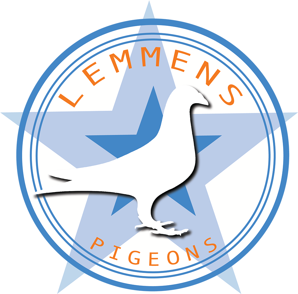 Circle (1024x1024), Png Download