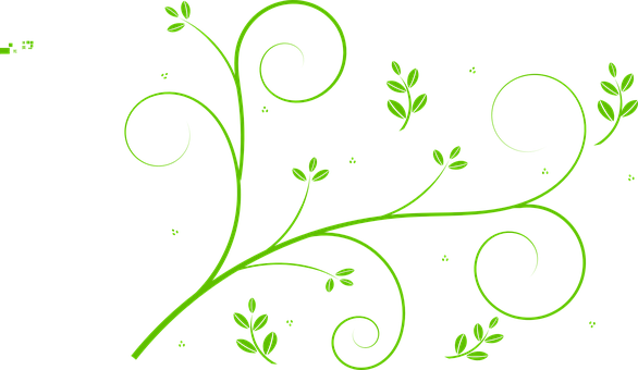 Floral Design Leaves Swirls Beautiful Art - Green Vine Clip Art (586x340), Png Download