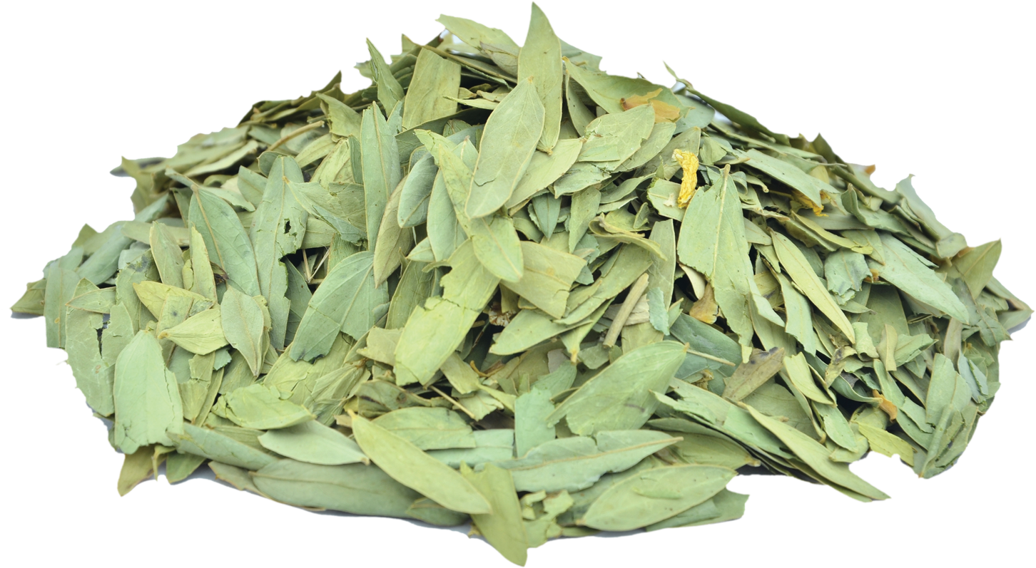 Senna ملکی Png Cassia Acutifolia Benefits (1500x1000), Png Download