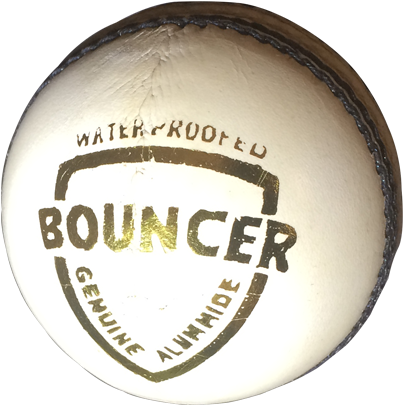 Cricket (500x500), Png Download