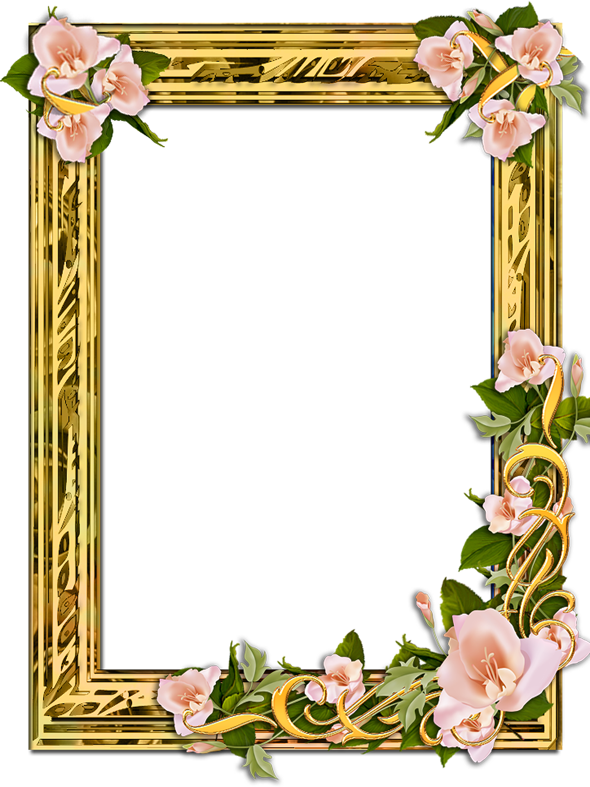 Flower Frame Png, Gold Frames, Backgrounds Free, Png - Frames With Transparent Backgrounds (1200x1600), Png Download