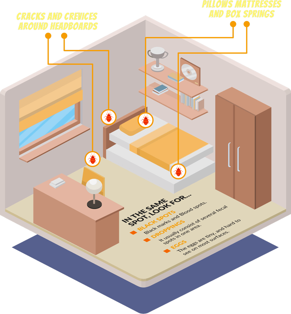 Room@2x - Bedroom (944x1019), Png Download