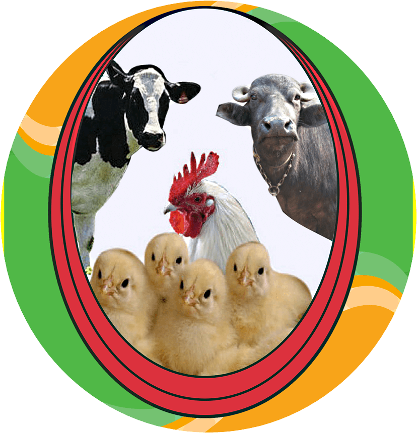 Best Water Sanitizer For Poultry (828x861), Png Download