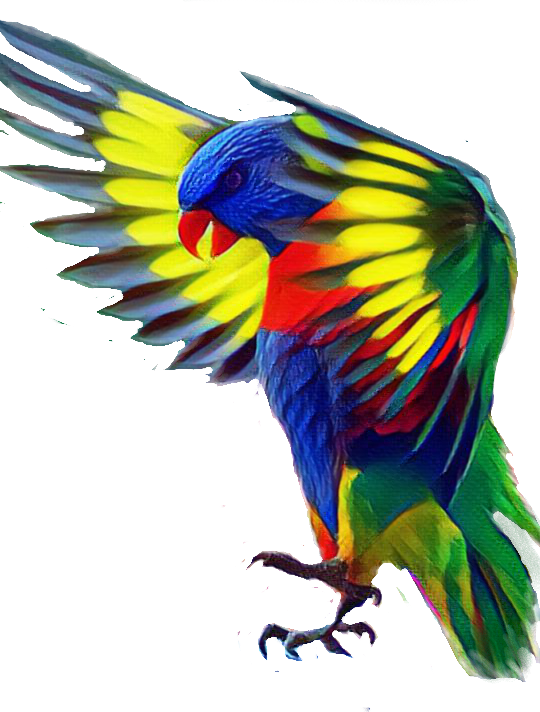 Report Abuse - Bird (540x712), Png Download