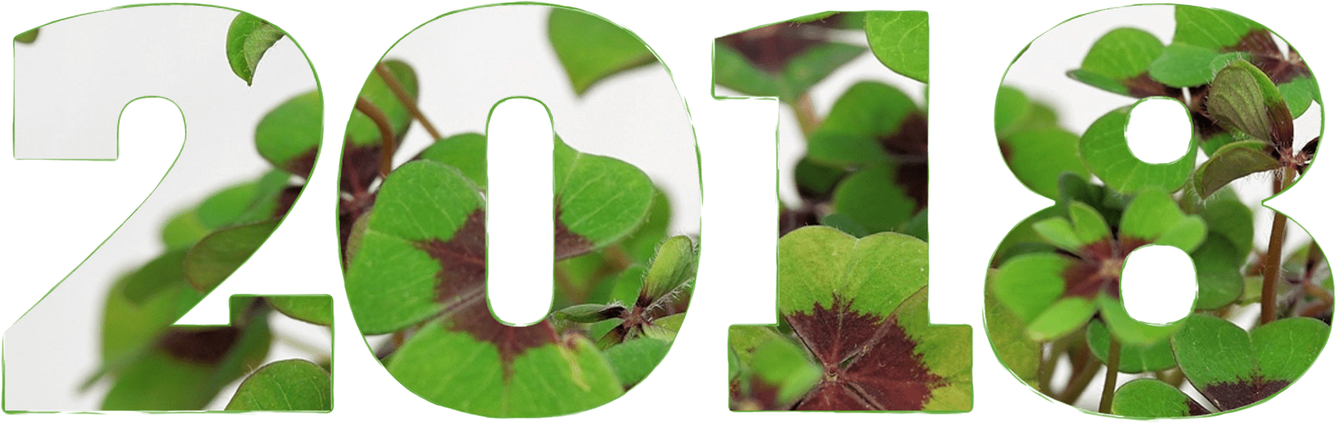 Happy New Year 2018 Image Download - Šťastný Nový Rok 2018 (1920x1440), Png Download