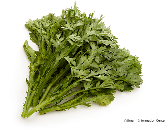 Shungiku - Chicory (650x460), Png Download