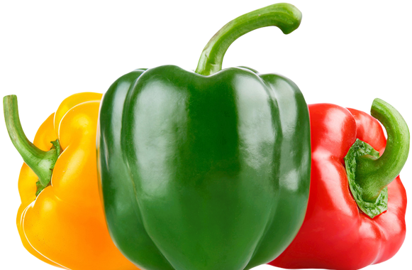 Capsicums - Green And Red Bell Pepper Png (600x380), Png Download