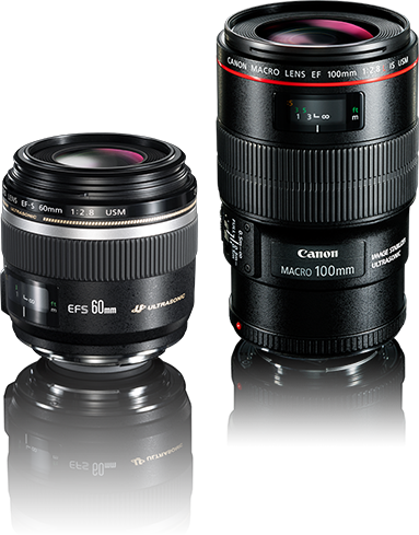 Macro Lenses Top Hero - 2.8 L Macro Is Usm (383x489), Png Download