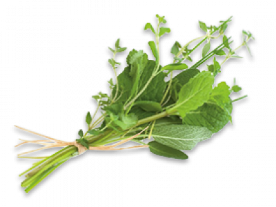 Fresh Herbs, Garnishes And Flowers - Vegetable Flower (400x300), Png Download
